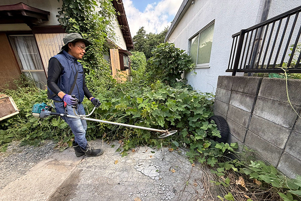 庭木を剪定する造園作業員